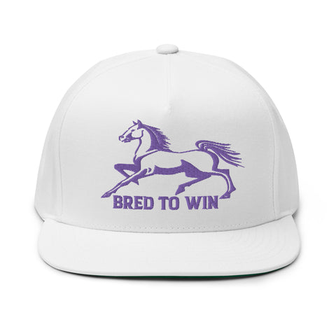 Bred To Win Snapback - Purp on White